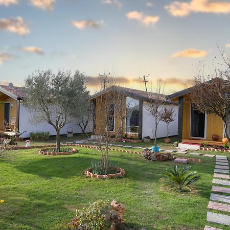 Hotel Villa Linda Shkodër Buitenkant foto