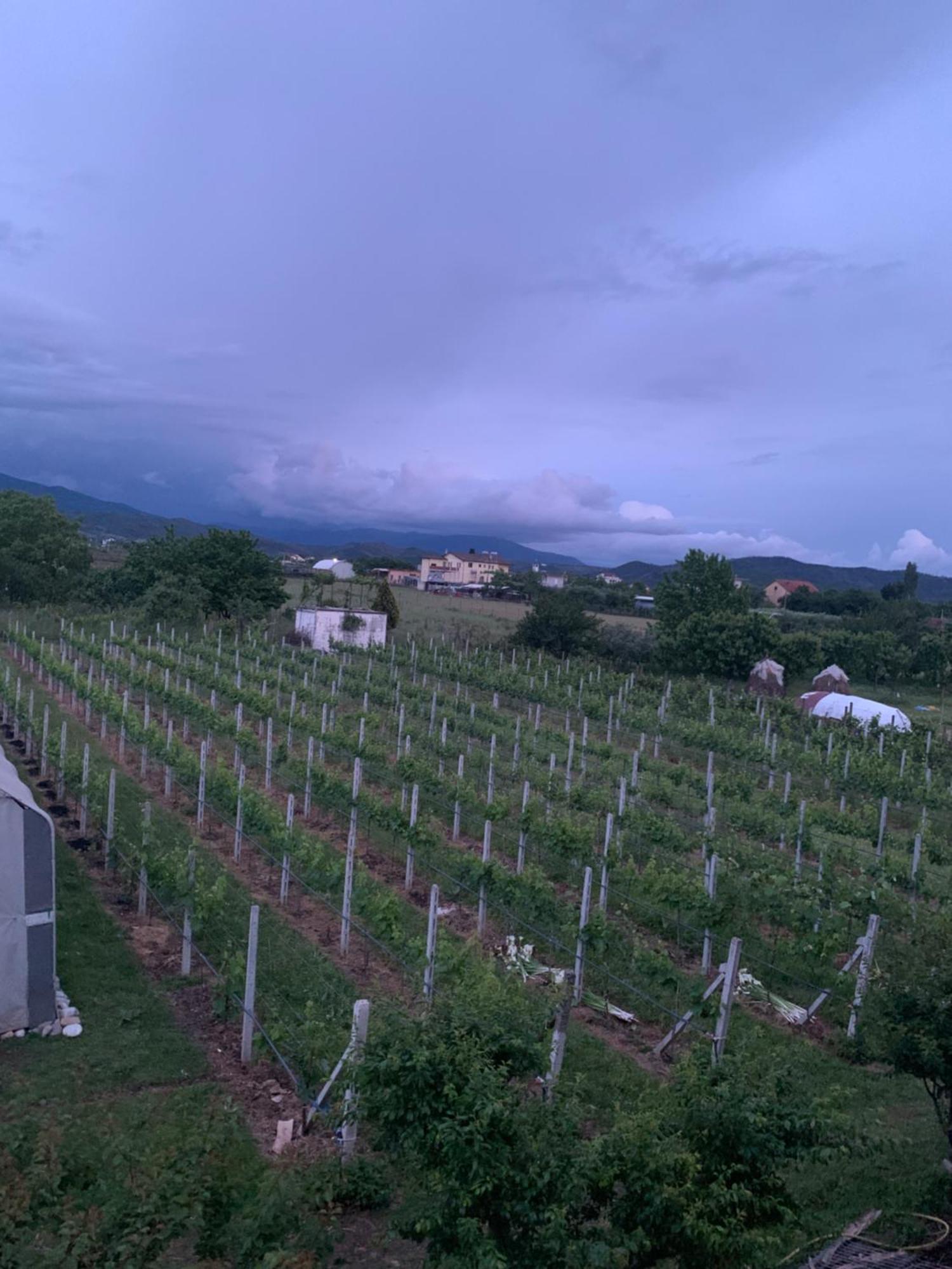 Hotel Villa Linda Shkodër Buitenkant foto