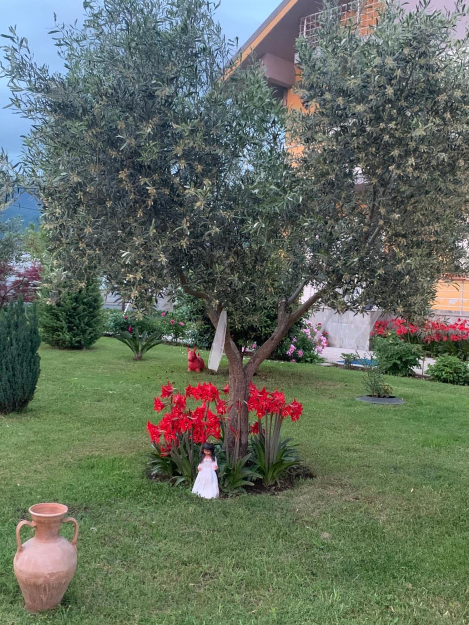 Hotel Villa Linda Shkodër Buitenkant foto