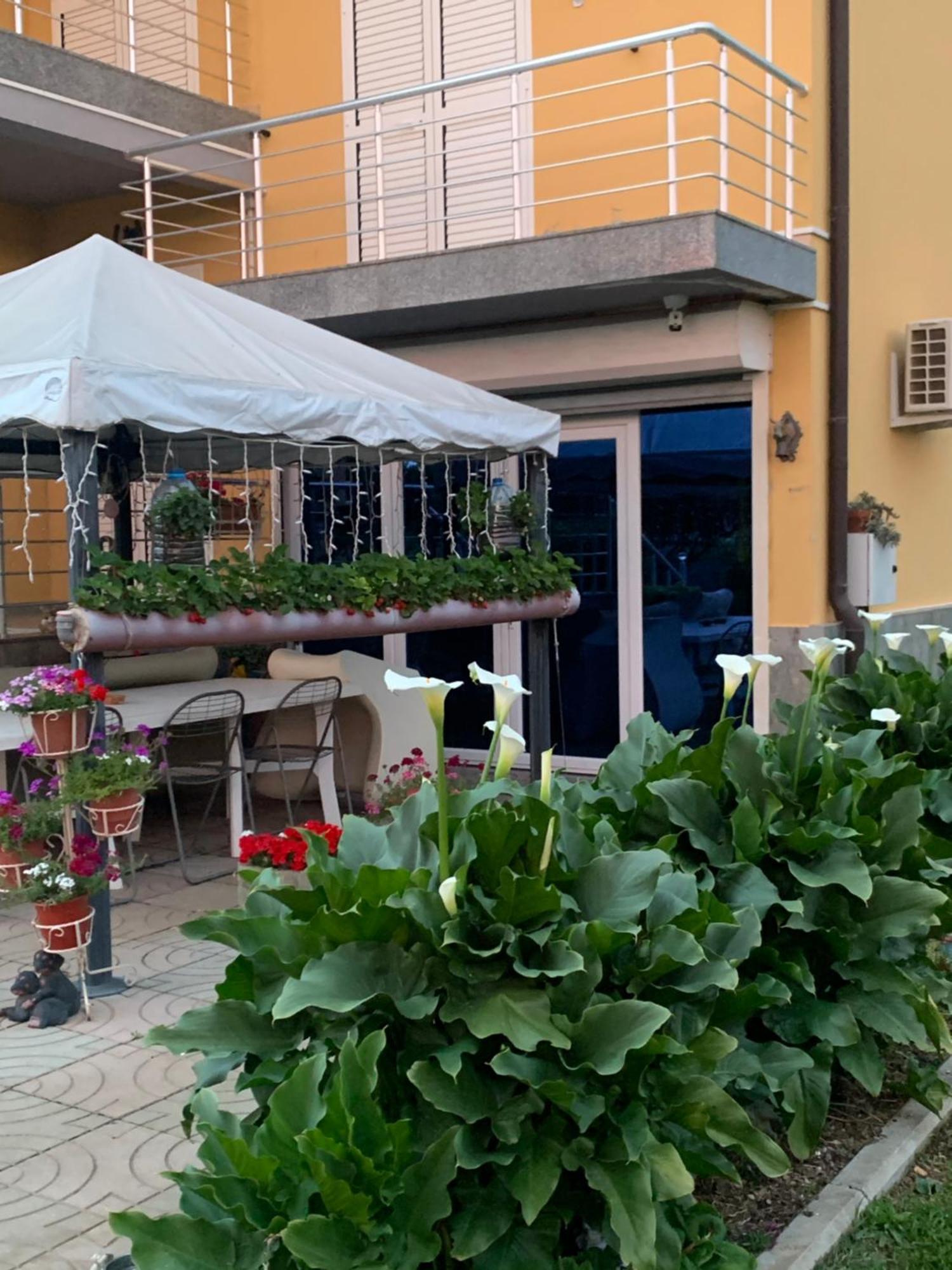 Hotel Villa Linda Shkodër Buitenkant foto