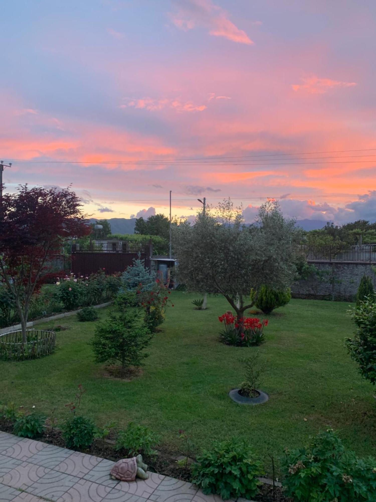 Hotel Villa Linda Shkodër Buitenkant foto