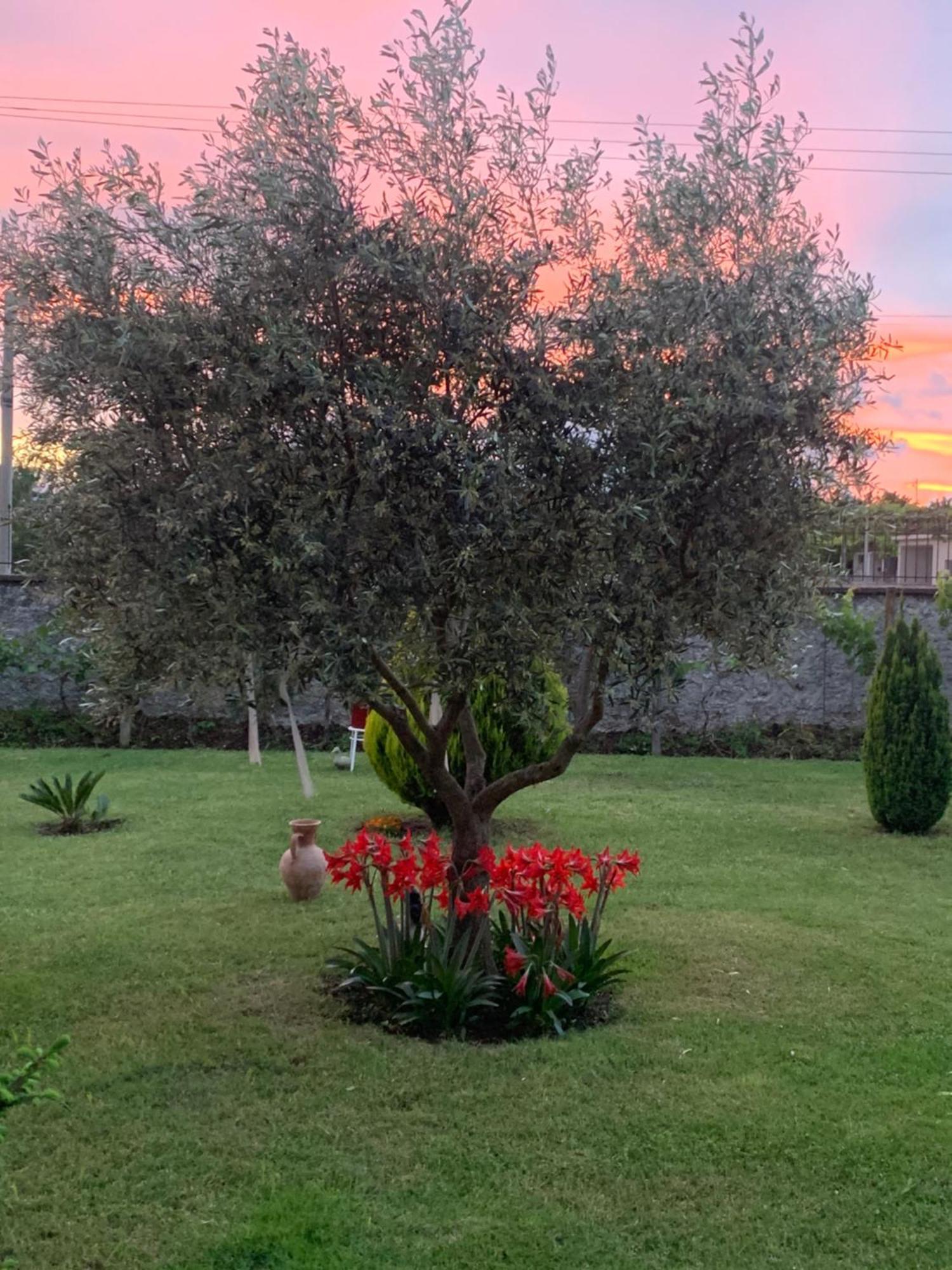 Hotel Villa Linda Shkodër Buitenkant foto