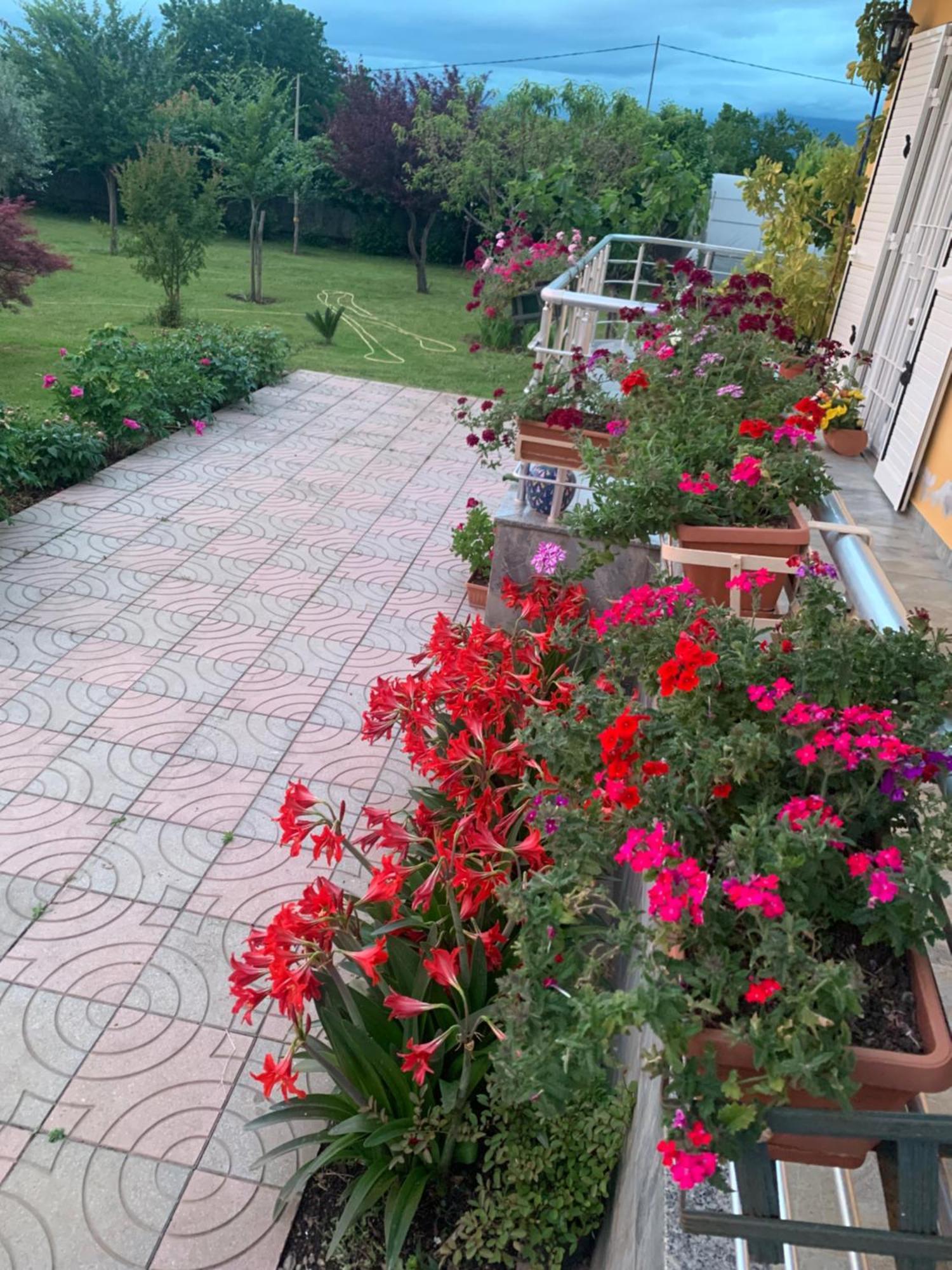 Hotel Villa Linda Shkodër Buitenkant foto