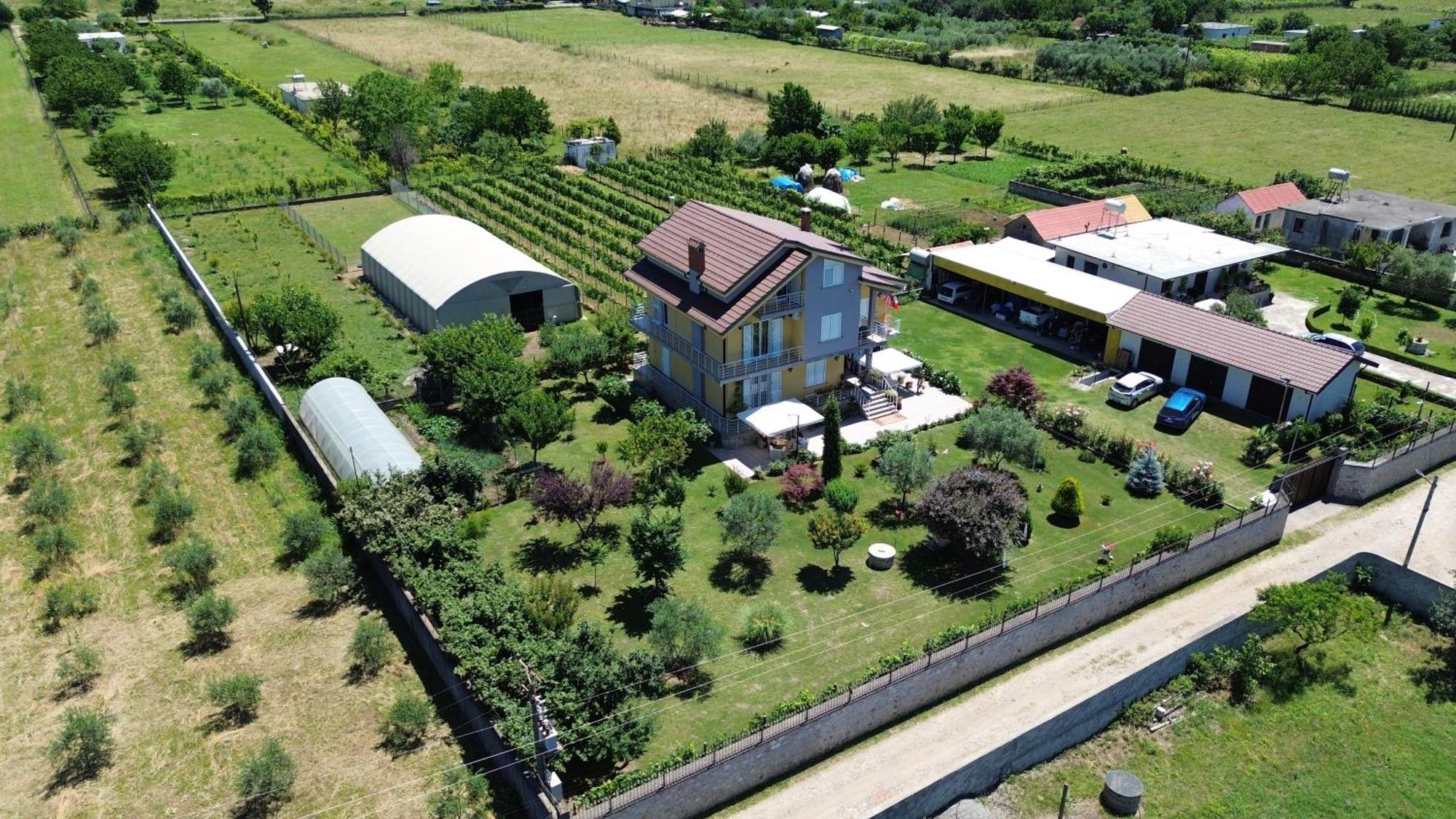 Hotel Villa Linda Shkodër Buitenkant foto