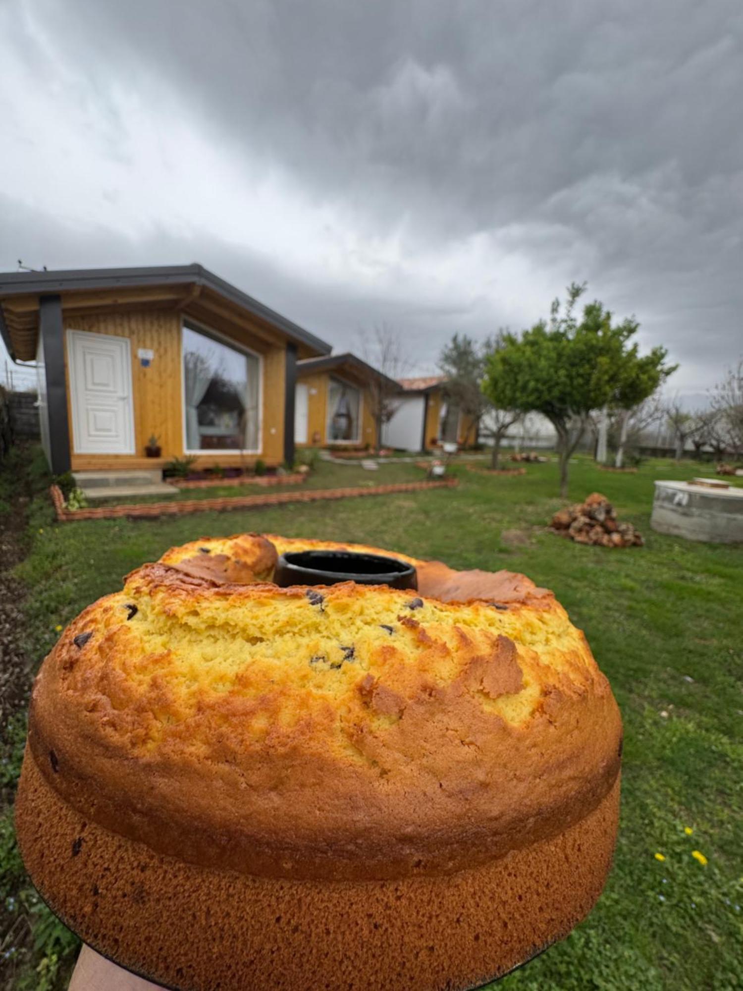 Hotel Villa Linda Shkodër Buitenkant foto